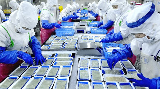 從“原字號”到“產業(yè)群” 丹東“藍色引擎”的逆勢崛起與商貿新篇